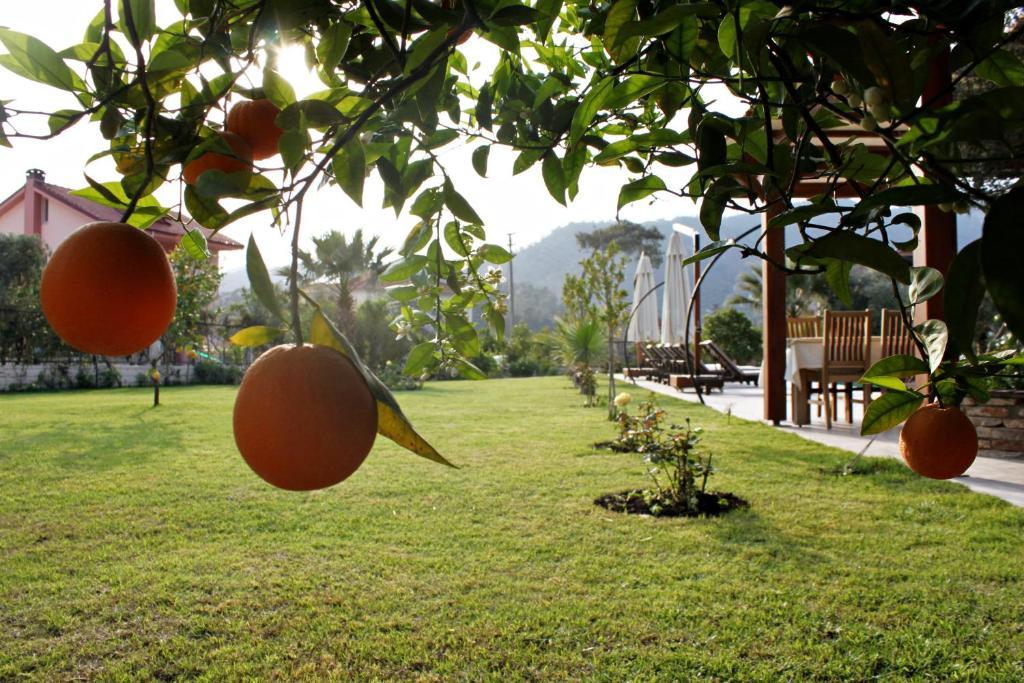 Gocek Arion Hotel Экстерьер фото